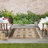 Nourison Essentials Ivory/Gold Indoor/Outdoor Area Rug-1441303602