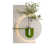 Blanc/vert