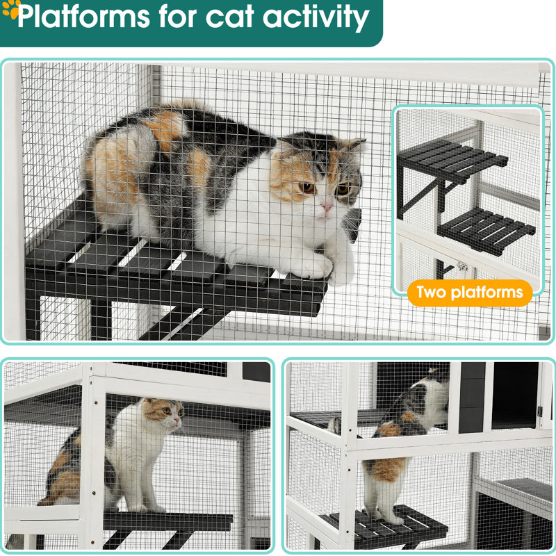 Abri pour chat spacieux en bois 3 - 4 plateformes, 2 portes pour 1 à 3 chats de maison gris avec portes ouvertes, plateformes