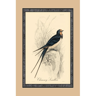 Printed Chimney Swallow (A) - Wrapped Canvas Print