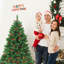 Lighted Artificial Christmas Tree