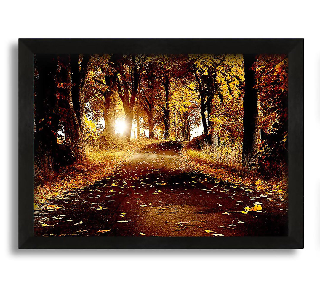 Gerahmtes Leinwandbild Autumn Golden Leaves