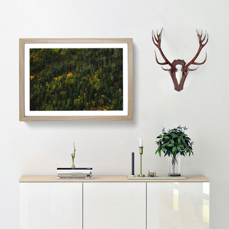 Autumn Forest in Switzerland - Picture Frame Painting Print, 24cm H x 33cm W x 2cm D, Oak