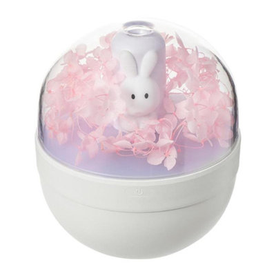Humidificateur sans fil 220 ml
