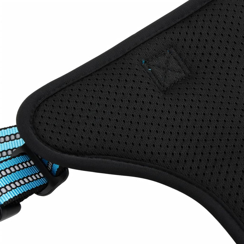 Pet Carrier, Blue