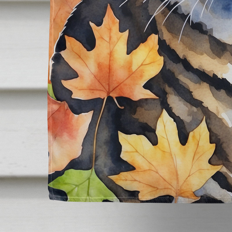Chat en feuilles d'automne, California Spangled