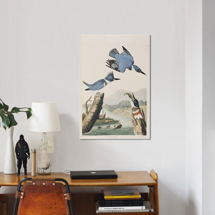 « belted kingfisher », impression sur toile, H 12 po x l 8 po x P 0,75 po, Toile tendue, Pas de tapis