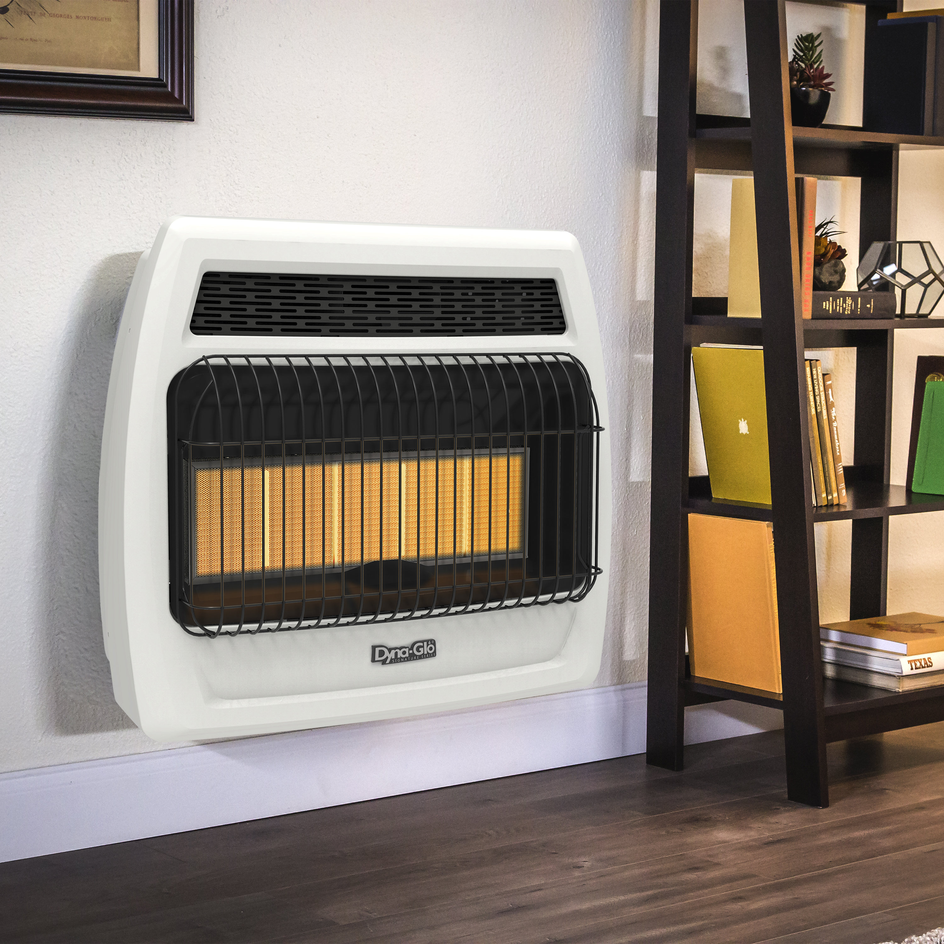 Dyna-Glo 30000 BTU BTU Propane High Efficiency Wall Mounted Space Heater  with Adjustable Thermostat u0026 Reviews | Wayfair
