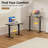 Oishee Electric Adjustable Standing Desk-1679924621-1698230359