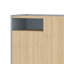 Shaneah 9 Pair Shoe Storage Cabinet