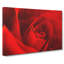 Red Rose Flower Vol.8 - Wrapped Canvas-61837102