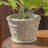 Harrami Handmade Ceramic Pot Planter-1495226636