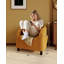 Accent Boucle Barrel Chairs
