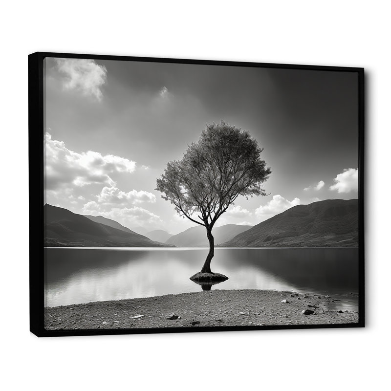 " Tree Lake Tranquility ", Black Floater Framed, 30" H x 40" W x 1.5" D