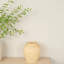 Canary Wash Vase, Yellow, Globe