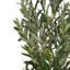 Olive artificielle 6 'avec pot en plastique