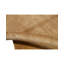 Area Rug in Brown