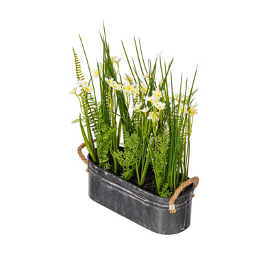 Daffodil Arrangement in Pot