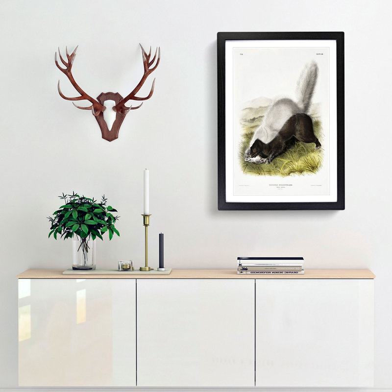 Texan Skunk by J.W. Audubon - Framed Print, Black Framed, 87cm H x 62cm W x 2cm D