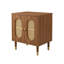 Lille 2 Door Rattan Bedside Cabinet-1679145425