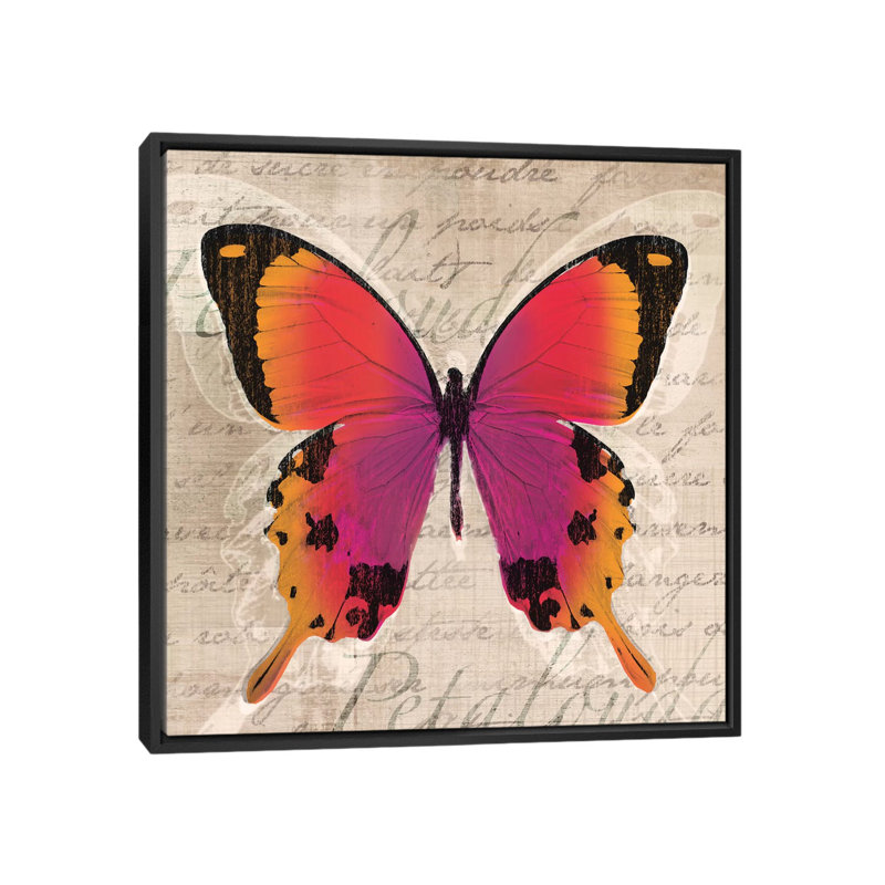 « papillons iii », reproduction d’impression sur toile tendue, H 18 po x l 18 po x P 1,5 po, Toile avec cadre noir