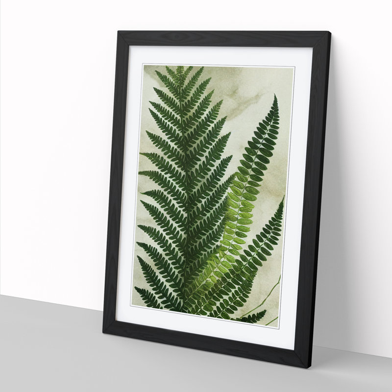 Adamczak Fern Leaf Decoupage Framed Print, 46cm H x 34cm W x 2cm D, Walnut