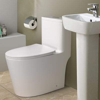 1.6 GPF Dual-Flush Elongated One-Piece Skirted Toilet (Seat Included) -  Inster, GI6636