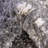 Serenity Shag Geometric Indoor Rug-716168372