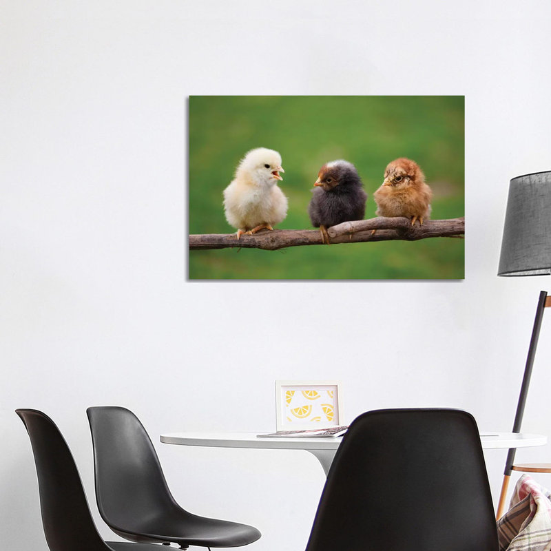 Babys by Goran Anastasovski - Wrapped Canvas Print, 101.6 cm H x 66.04 cm W x 3.175 cm D