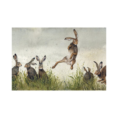 " Hijinx " by Maggie Vandewalle