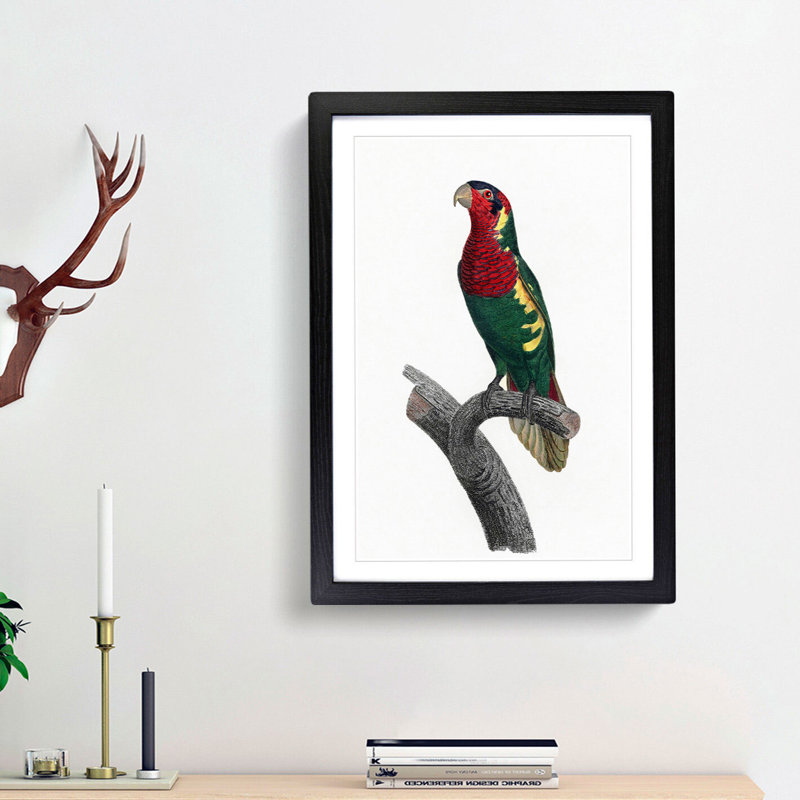 Blue Headed Lorikeet by F. Levaillant - Picture Frame Graphic Art Print, 65cm H x 48cm W x 2cm D, Black Framed