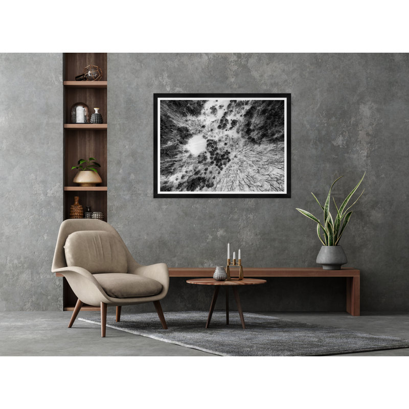 Tree Tops II In Black & White Print by Tim Klein