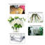 Arrangement floral pivoines dans un vase