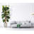 94'' Faux Devil's Ivy (Scindapsus Aureus) Tree in Planter