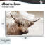 «Shaggy Highland Cow & Clouds», estampe numérique, conception par CAD Designs-1193574517-1193574519
