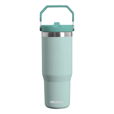 Milestone 890ml Double Wall Insulated Stainless Steel Flip & Sip Bottle