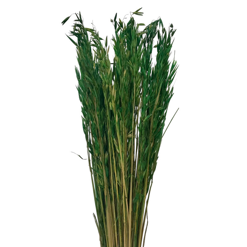 Florida Arrangement, Fresh Grass