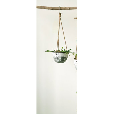 Round Hanging Terra-cotta Planter with Distressed Finish and Woven Strings