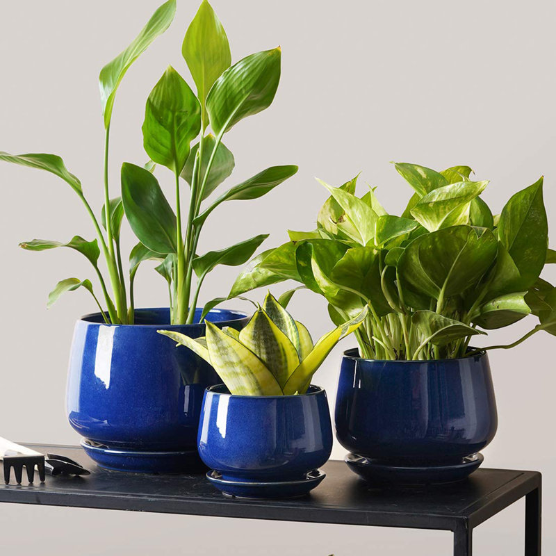 Ceramic Plant Pots 4.1+5.1+6.5 inch, Blue