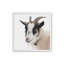«Pippa The Goat IV» par Deborah Revell, reproduction d'art-2060087320-2060087524