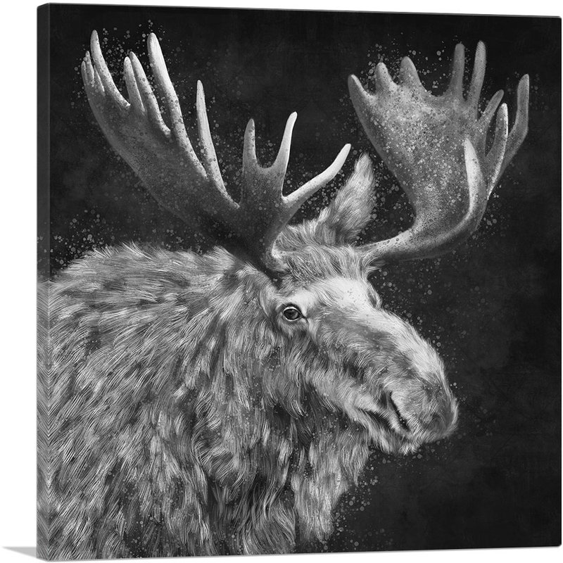 Bull Moose, Elk Antler, noir et blanc - impression sur toile tendue, H 12 po x l 12 po x P 0,75 po