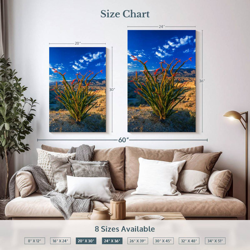 Harnek Ocotillo In Anza Borrego, 36" H x 24" W