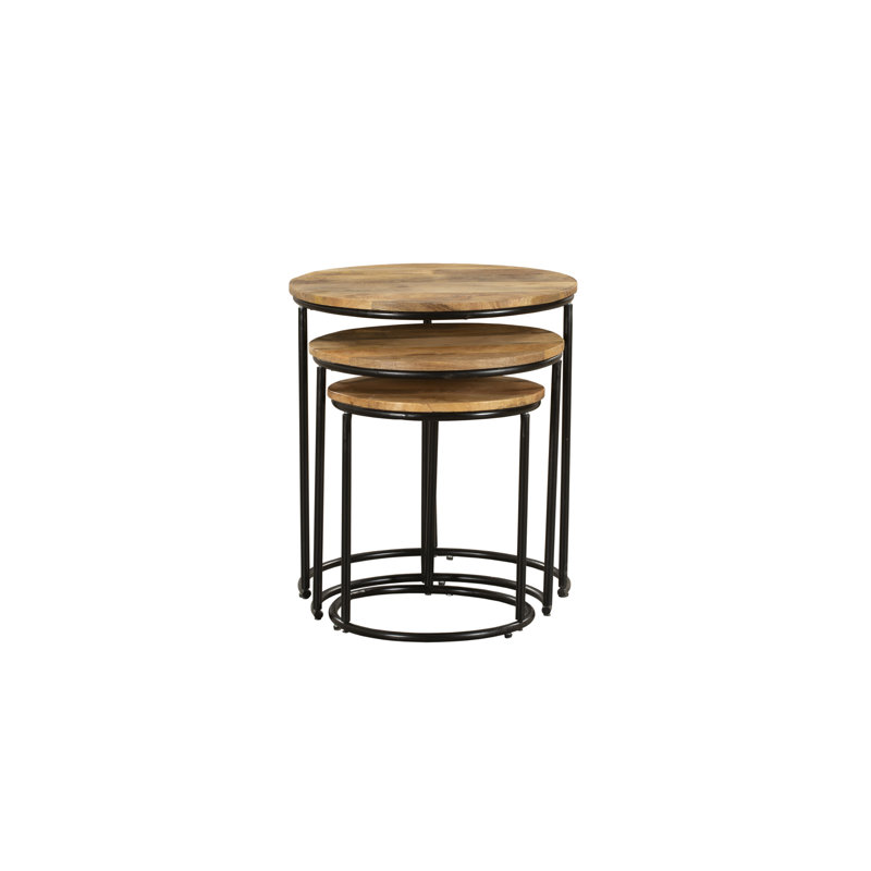 Milinocket 3 Piece Nest of Tables