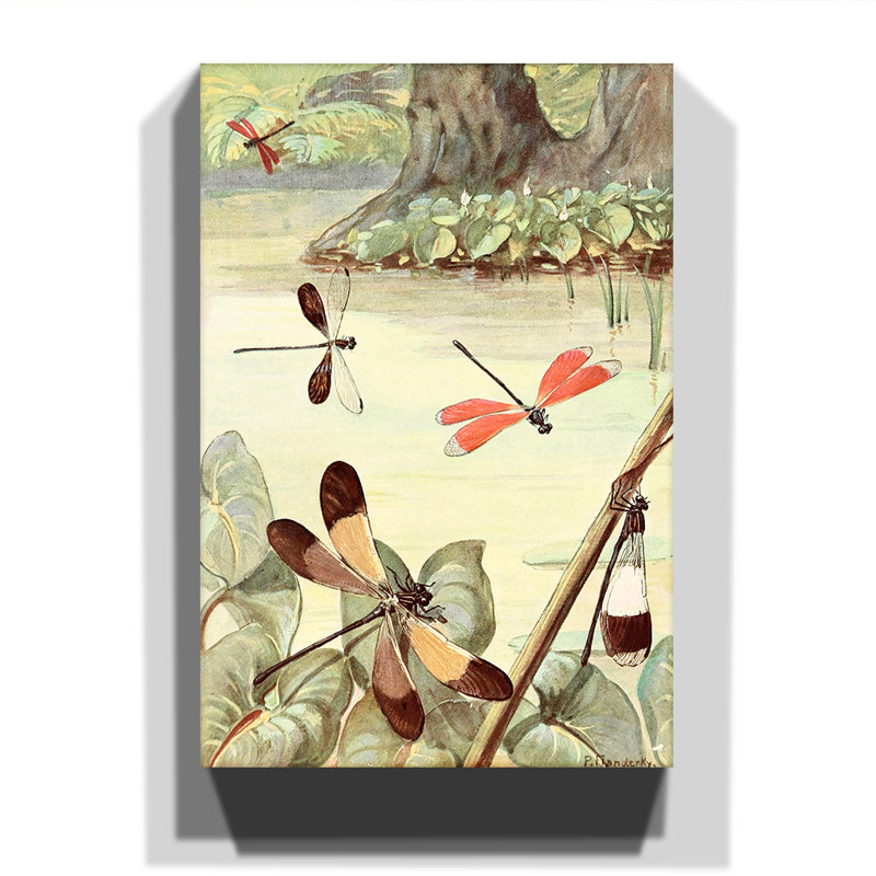 Paul Flanderky - Wrapped Canvas Painting, 60cm H x 40cm W