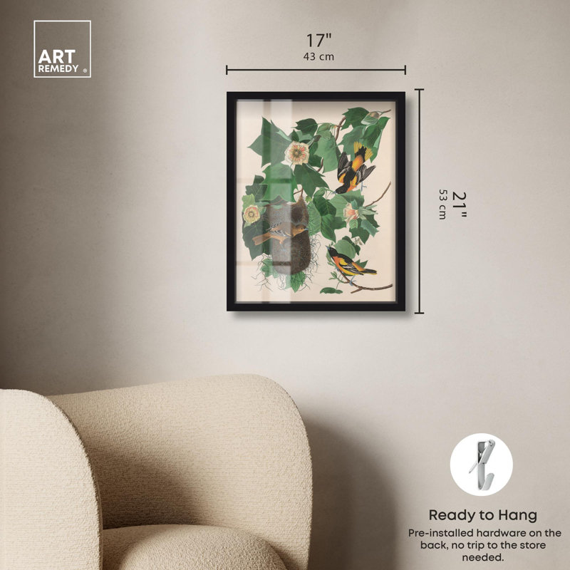 «Three Orioles Shadowbox Print» par Art Remedy, H 21 po x l 17 po, Noir