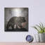 «Calling Bear» par Lightbox Journal-1393180158