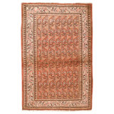 Hand Knotted Wool Area Rug in Multi