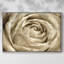 Neutral Wall Flower IV, reproduction d'art sur toile encadrée-94357711-94357708