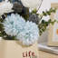 Arrangement in Vase