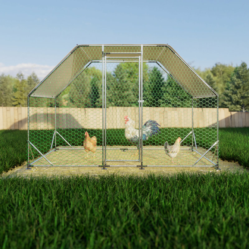 9,94 pi X 6,46 pi X 6,36 pi Grande cage à poules en métal avec couvercle imperméable